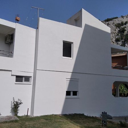 Apartmani Jacimovic Čanj エクステリア 写真